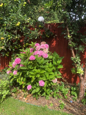 Eltham Flat, London